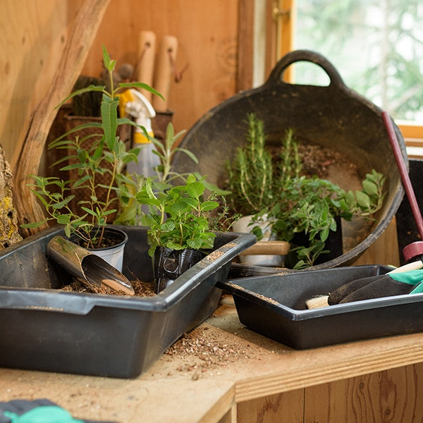 Talia トレイTG 25L