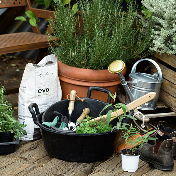 Talia ラバーフラットタブ 20L