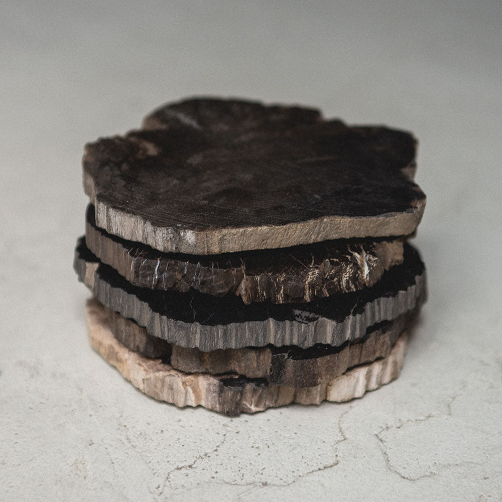 PETRIFIED WOOD COASTER|珪化木のコースター