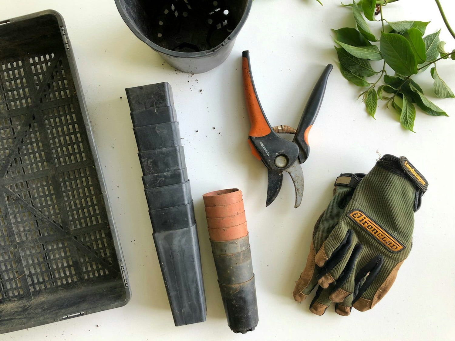 Botanical Tools