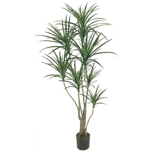 Artificial Green ｜ ユッカ