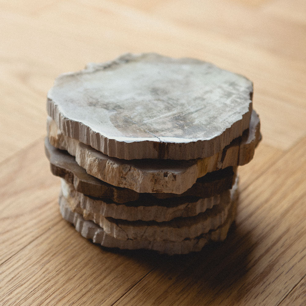 PETRIFIED WOOD COASTER｜珪化木のコースター