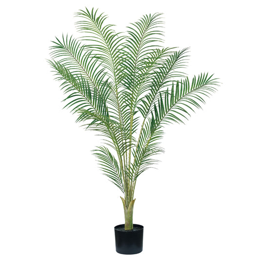 Artificial Green ｜アレカヤシ